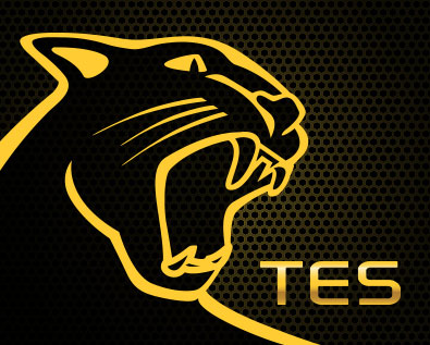 TES
