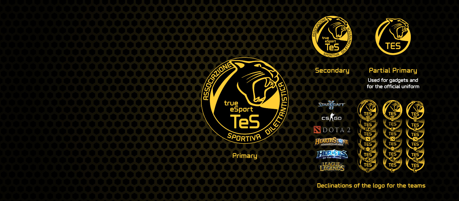 TES Logo